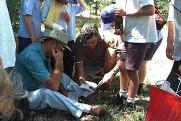 Field naturalists