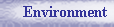 environment button